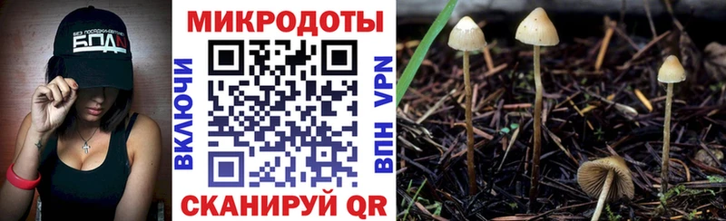 Галлюциногенные грибы Psilocybe  закладка  Кудымкар 