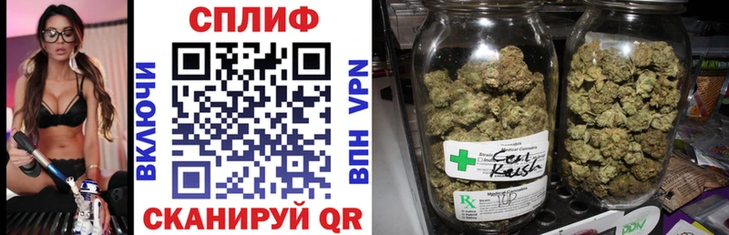 MEGA вход где купить наркоту Кудымкар Шишки марихуана индика